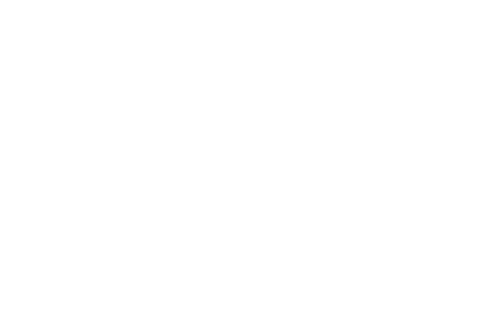 logo light